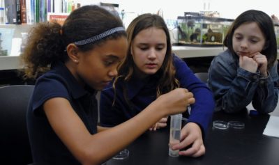 Three girls set up a science experiment at a lab table, using a dropper to move liquid from a beaker to petri dishes.